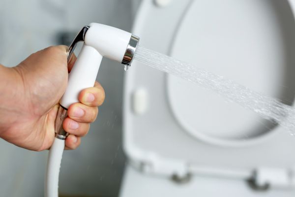 Bidet Installation in Bloomfield Hills