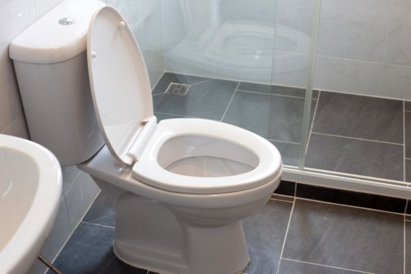 Toilet Replacement in Bloomfield Hills