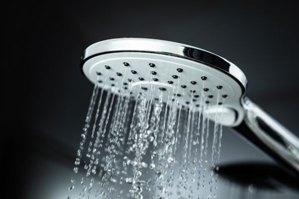 Cost of Shower Head Replacement in Bloomfield Hills