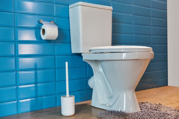 Cost of Toilet Tank Repair in Bloomfield Hills
