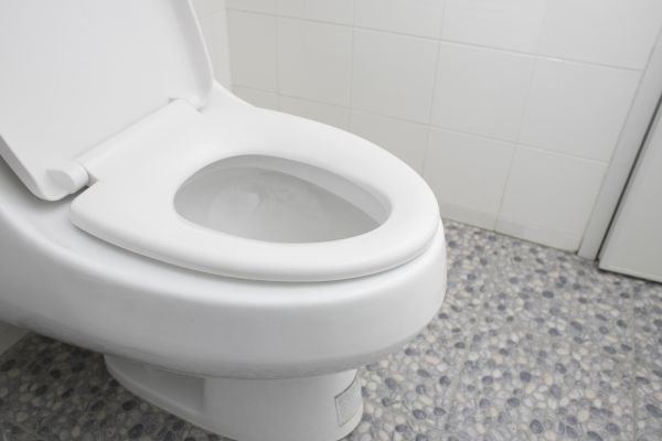 Cost of New Toilet Installation in Bloomfield Hills